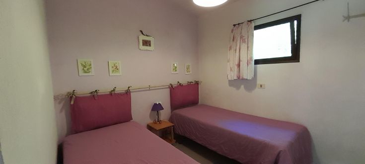 Simple room with single beds and floral decorations, perfect for resting.
