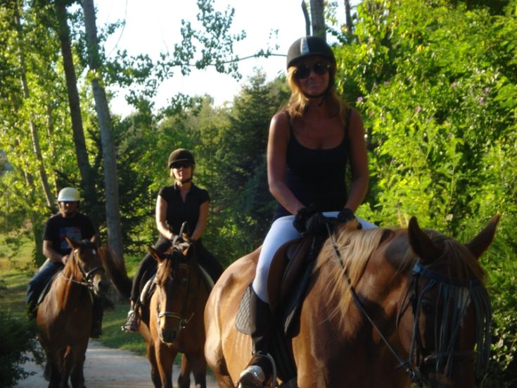 A group of horseback riders moving through a natural setting, surrounded by the beauty of the landscape.