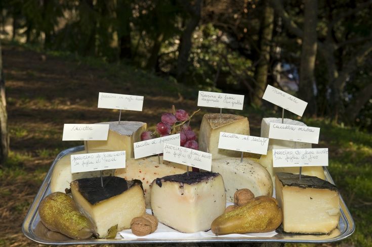 Différentes formes de fromage local présentées sur une assiette, accompagnées de fruits secs dans un cadre rustique.
