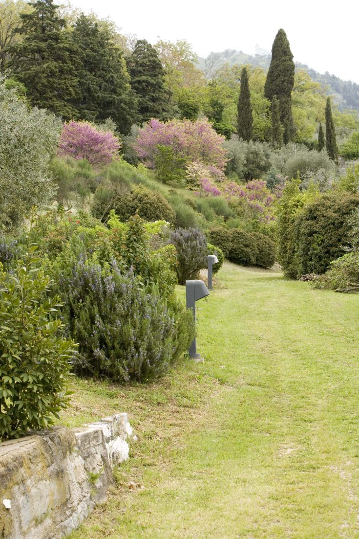 Un sentier entouré de végétation luxuriante dans un jardin bien entretenu, enrichi de différentes espèces de plantes et d'arbres.