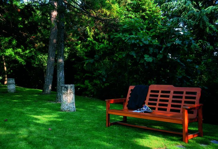 Un espace tranquille dans un jardin vert, avec un banc en bois entouré d'arbres et de plantes.