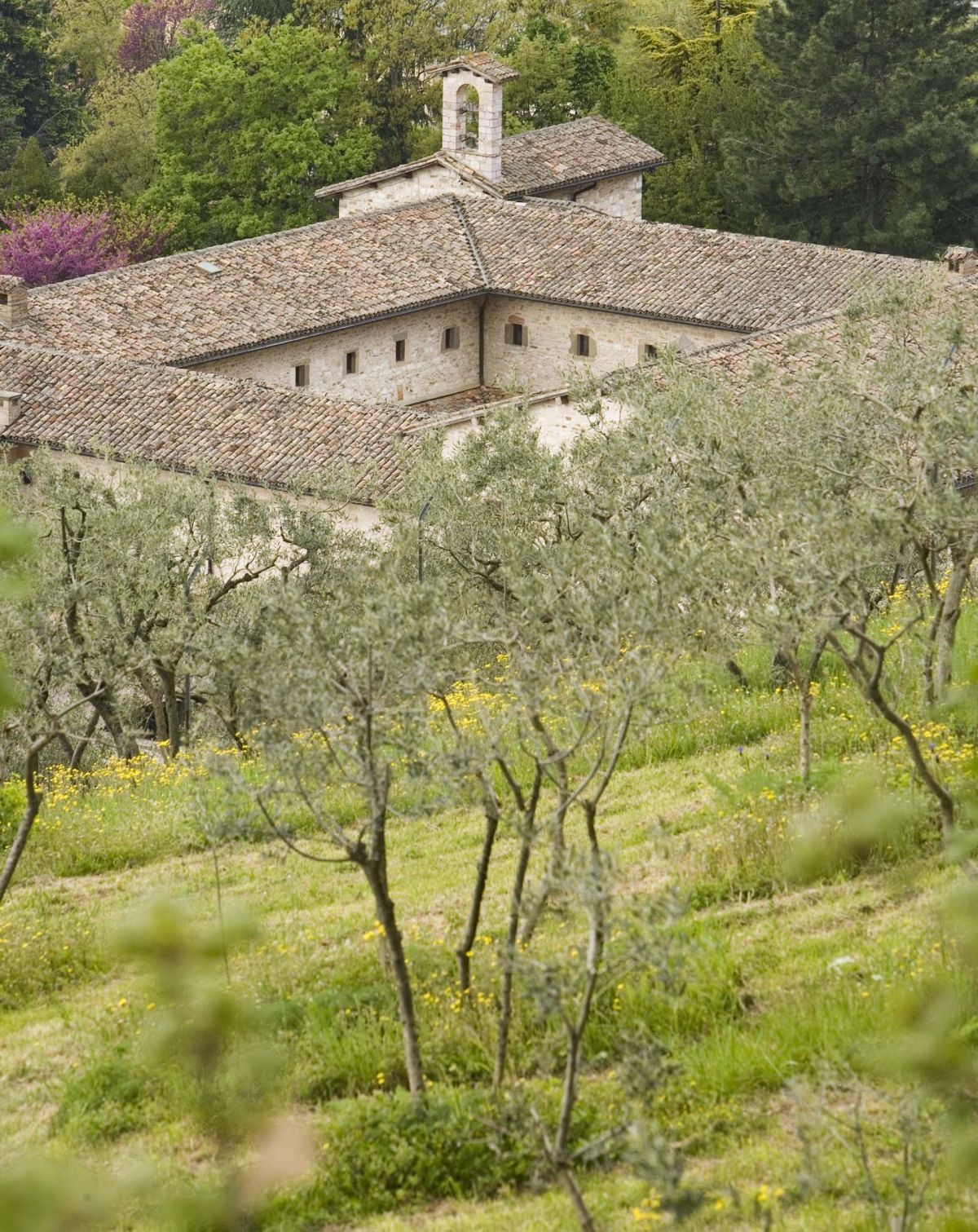 Magnificent hotel created from the renovation of a former convent, located in a park, just a short walk from the historic center of Gubbio.