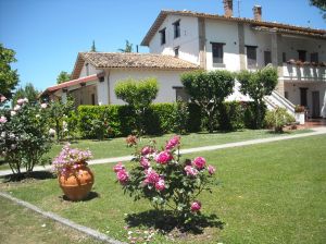 Una villa circondata da un giardino ben curato, con diverse piante e fiori, che crea un ambiente tranquillo.