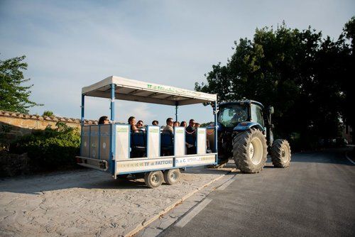 Ausflug zu einem Bauernhof mit einer Gruppe von Menschen in einer friedlichen ländlichen Umgebung.