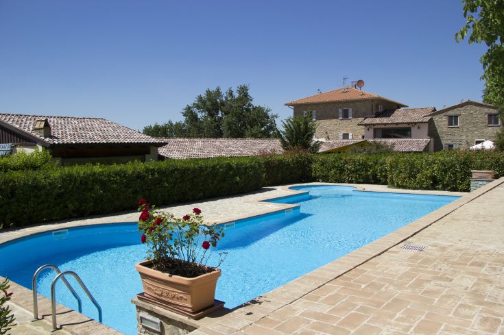 Una piscina blu immersa in un contesto verde di piante e edifici, in una giornata soleggiata.