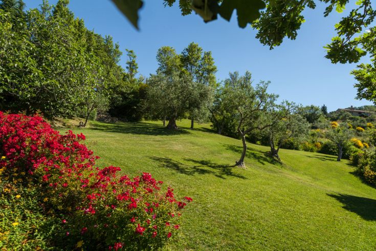 Un'area verde con alberi e fiori dai colori vivaci che rendono piacevole il panorama.