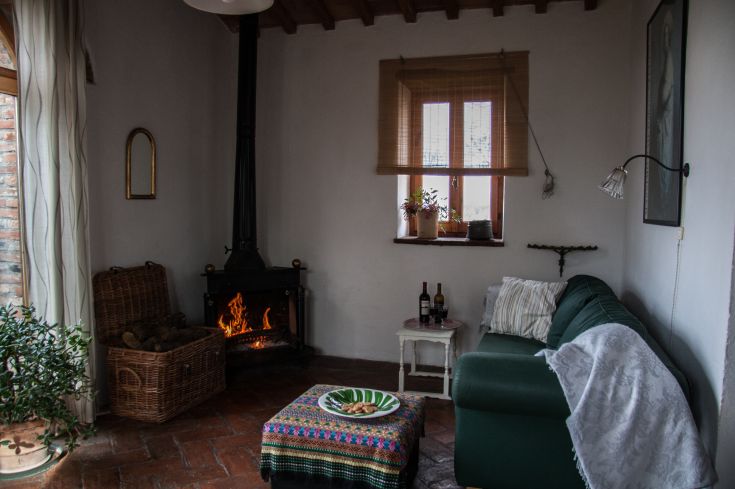 Salotto semplice con stufa a legna e piante decorative, creando un'atmosfera calda e familiare.