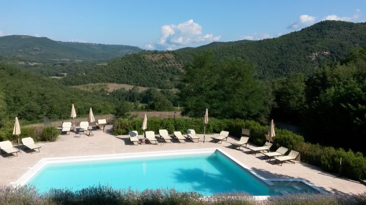 Poolbereich in der Natur, umgeben von Bäumen und Hügeln. Ein ruhiger Ort zum Entspannen.