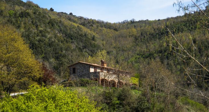Eine ländliche Struktur, umgeben von Vegetation, perfekt für entspannende Momente im Freien.