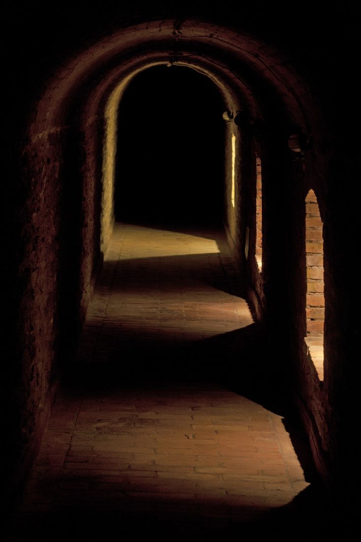 A dimly lit corridor with light entering from openings, creating a unique atmosphere.