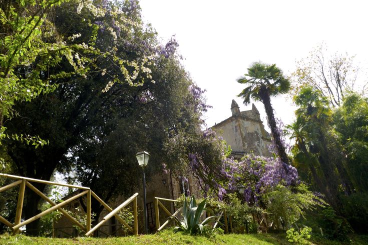 Una villa circondata da un ampio giardino, caratterizzato da alberi e piante mature.