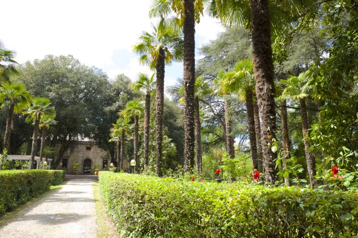 Antica villa cinquecentesca con un ampio parco e piante di palma, ideale per momenti di relax.