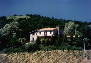Une villa entourée de vignobles et de collines, représentant un refuge tranquille dans la nature.