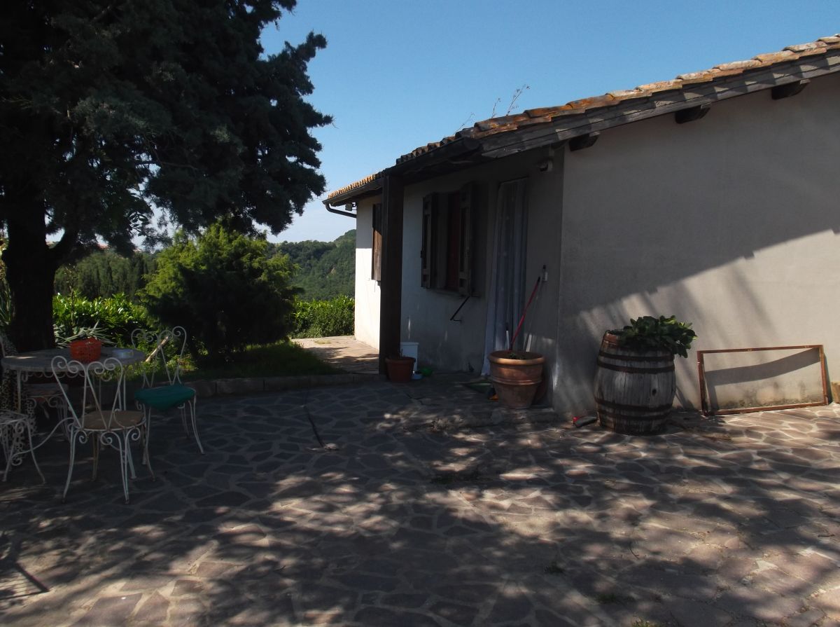 Scene of a farmhouse surrounded by lush vegetation, featuring a well-kept patio and green areas.