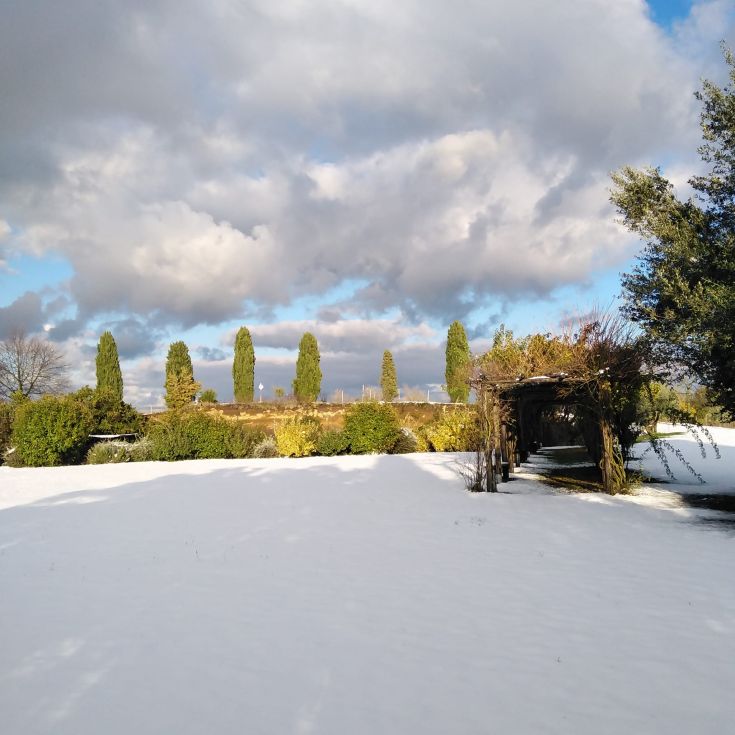 Eine winterliche Landschaft mit frischem Schnee auf dem Boden und grünen Bäumen in der Ferne.