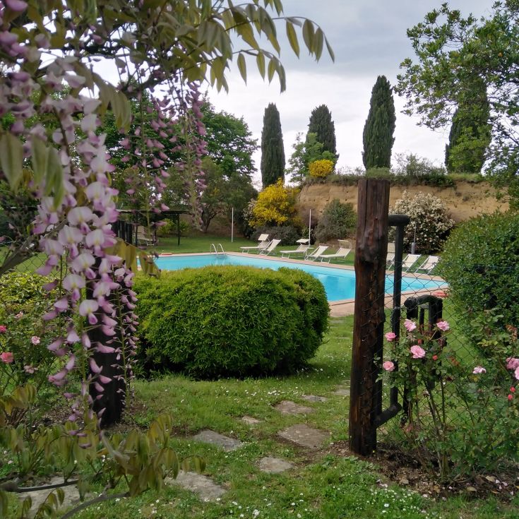 Ein im Grünen gelegener Pool, umgeben von Pflanzen und Blumen in einer ruhigen und entspannenden Atmosphäre.