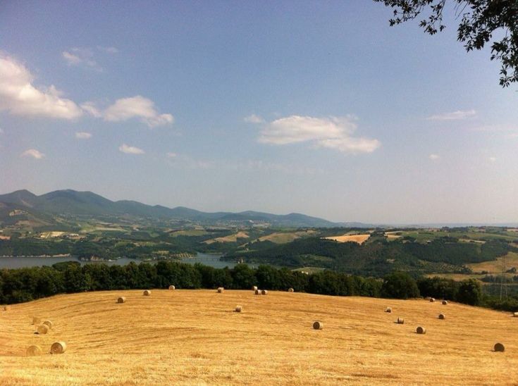 Umbrian landscape with fields of hay and gently rolling green hills on the horizon.