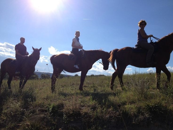 A group of people on horseback moves through a vast, peaceful landscape under the sun.