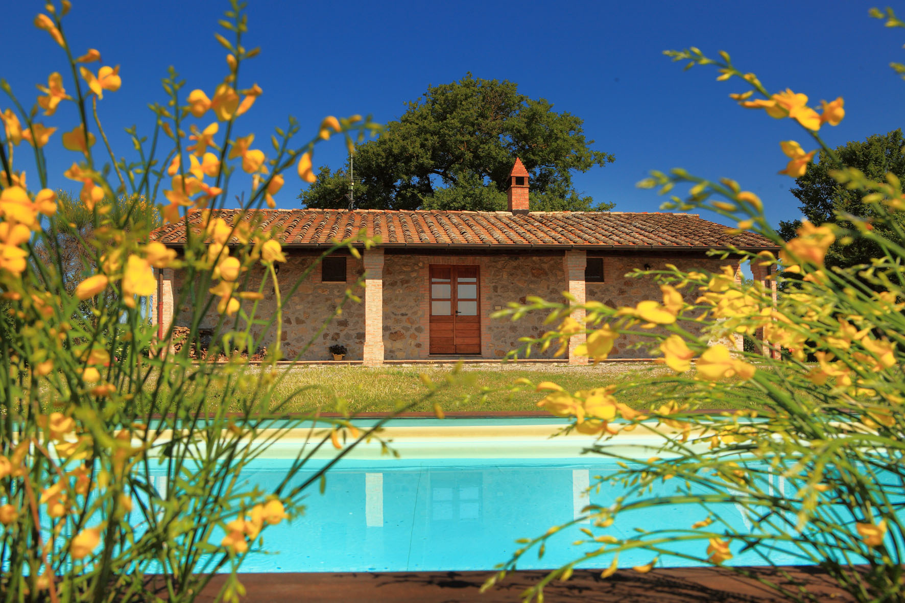 Panorama di una tranquilla tenuta con piscina circondata da fiori gialli nel verde.