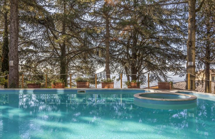 Una piscina circondata da alberi e vegetazione, perfetta per trascorrere momenti di relax all'aperto.