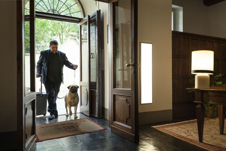 A man and his dog are in a familiar setting, with open doors revealing lush greenery outside.