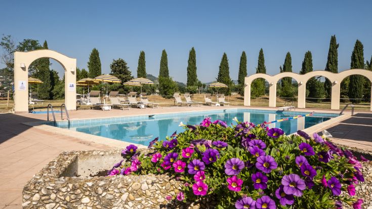 A large swimming pool in a park, surrounded by greenery and sun loungers for relaxation.