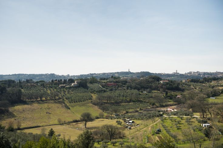 Una scena collinare dell'Umbria con vigneti e alberi, sotto un cielo sereno.