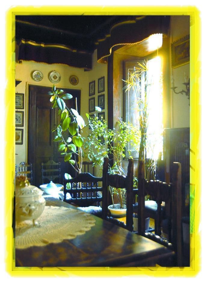 Un ambiente interno ben illuminato da luce naturale, arredato con piante verdi e caratterizzato da un'atmosfera accogliente.