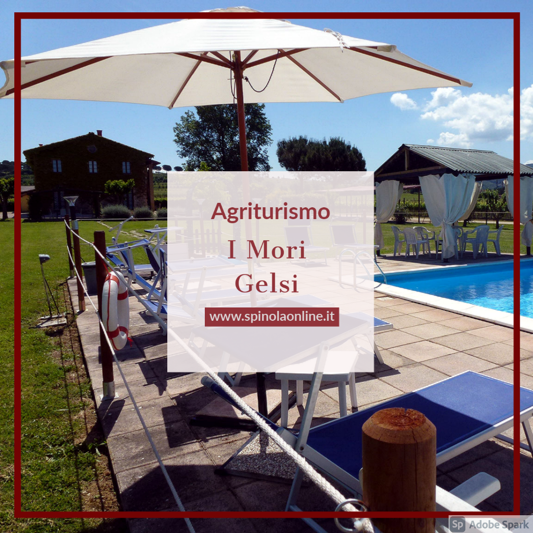 Pausa nella zona piscina di un agriturismo immerso tra le colline e i vigneti umbri.