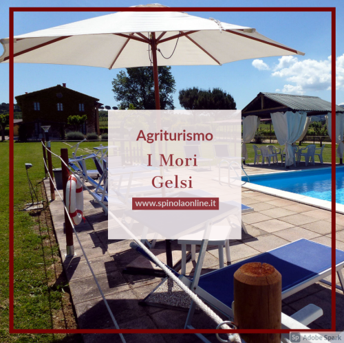 Détendez-vous au bord de la piscine dans une ferme entourée de collines et de vignobles umbriens.