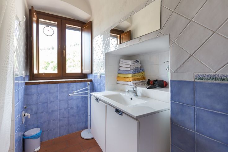 Salle de bain spacieuse avec des carreaux bleus et de grandes fenêtres laissant entrer beaucoup de lumière naturelle. Un espace agréable pour se détendre.