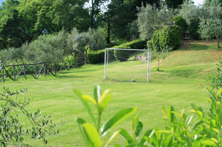 Ein Fußballfeld in einer ländlichen Gegend, umgeben von Grün und Olivenbäumen.