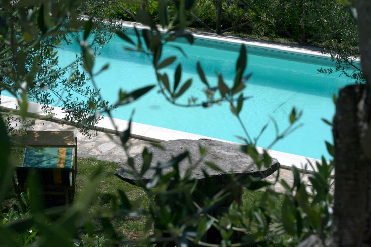 Ein ruhiger Pool, der im Grünen liegt, umgeben von Pflanzen und Bäumen, ideal für entspannende Momente im Freien.