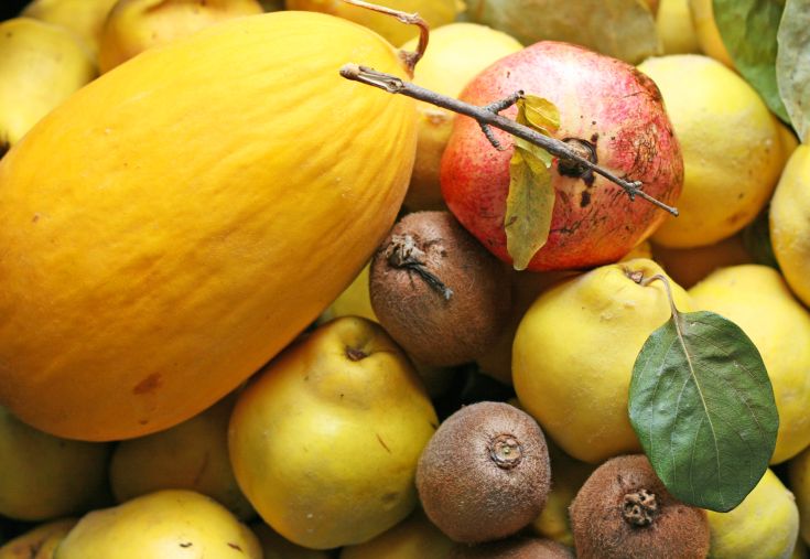 Eine Auswahl frischer Früchte, darunter Melonen, Granatäpfel und Kiwis, in einer natürlichen Umgebung angeordnet.