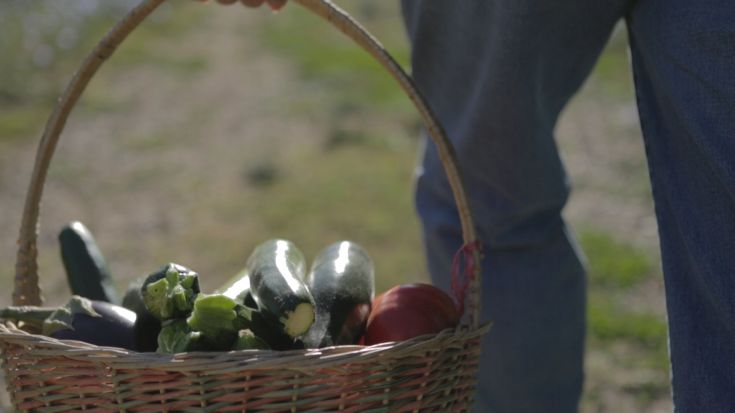 Ein Korb voller frischer, bunter Gemüse, typisch für das Land, bereit zum Kochen.