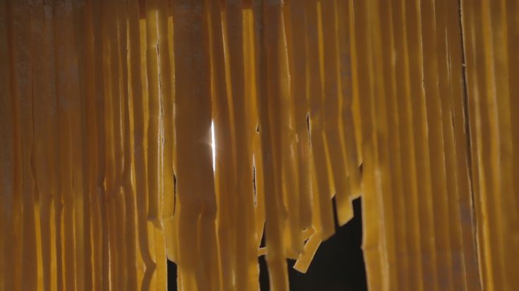 Frische Tagliatelle liegen zum Trocknen, beleuchtet von Licht, das durch ein Fenster strömt.
