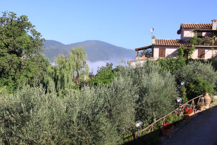 Szene eines umbrischen Bauernhofs, umgeben von Olivenbäumen und Hügeln, eingetaucht in die Ruhe der Natur.