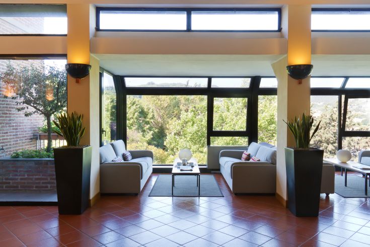 Simple lounge area overlooking nature, featuring sofas and various ornamental plants.