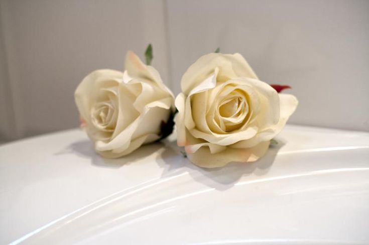 Two white roses placed on a reflective surface, showcasing delicate petal details.