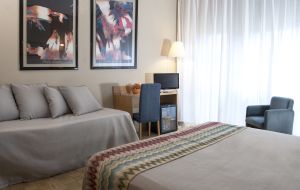 Stanza di un hotel con arredi semplici e moderni, adatta per un soggiorno piacevole.