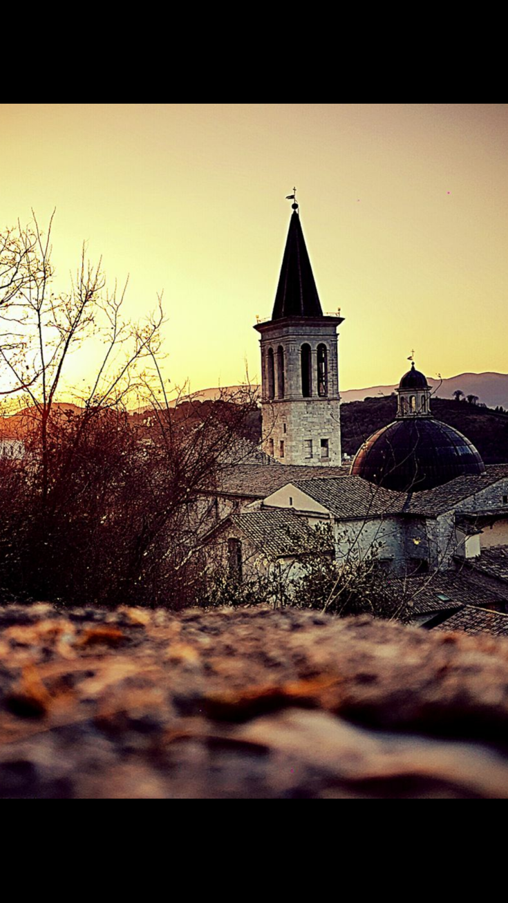 A bell tower and dome illuminated by sunset in a natural setting.