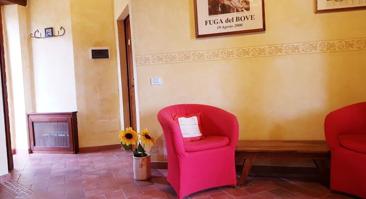 Comfortable interior of a farmhouse, furnished with red armchairs and decorated with sunflower flowers.