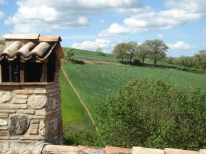 A picturesque view of a farmhouse in lush greenery, featuring a stone fireplace that showcases tradition and authenticity.