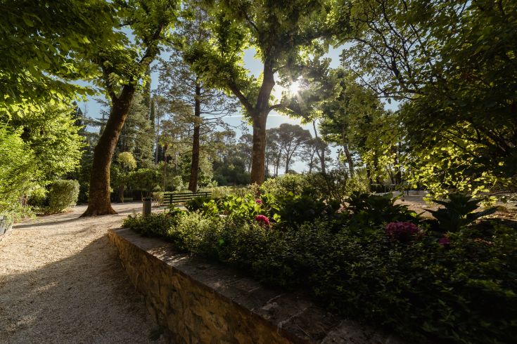 Un chemin serein dans un parc lumineux, entouré d'arbres et de fleurs colorées, créant une atmosphère naturelle.