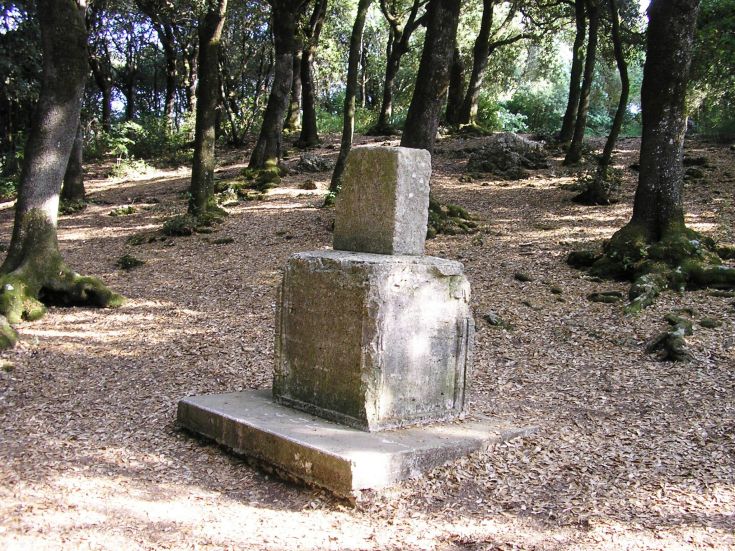 Un basamento antico in una zona boschiva, circondato da alberi e vegetazione naturale.