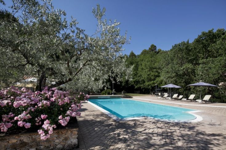 Panorama di una piscina immersa nella natura, circondata da ulivi e piante, adatta per momenti di relax.