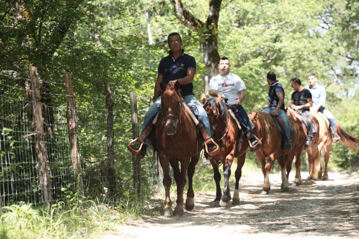 Un gruppo di persone a cavallo lungo un sentiero circondato da alberi e vegetazione. Un momento tranquillo e immerso nella natura.