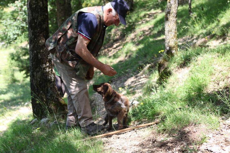 Un uomo gioca con un cane nel bosco, immersi in un ambiente naturale e luminoso.
