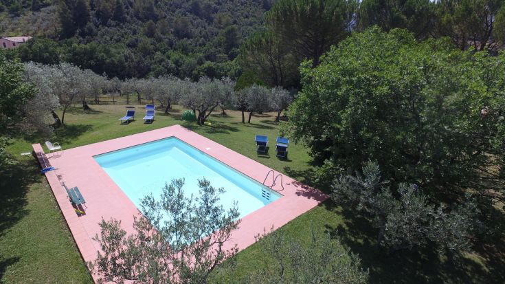 A pool located in a large green area, surrounded by olive trees, perfect for relaxation moments.