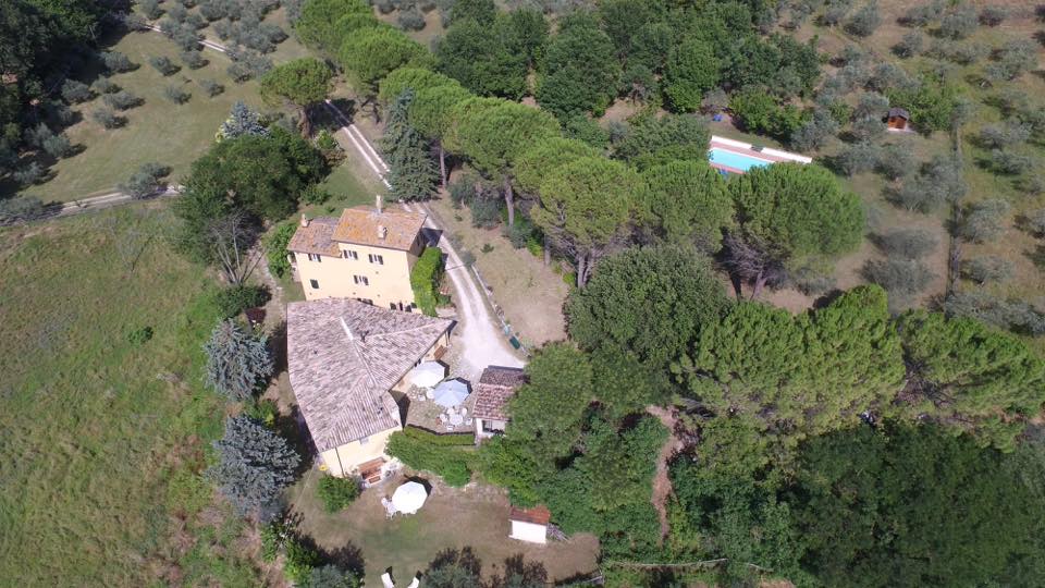 Immersa in un ampio uliveto, la proprietà è dotata di piscina e due edifici per gli ospiti, circondata dal verde.